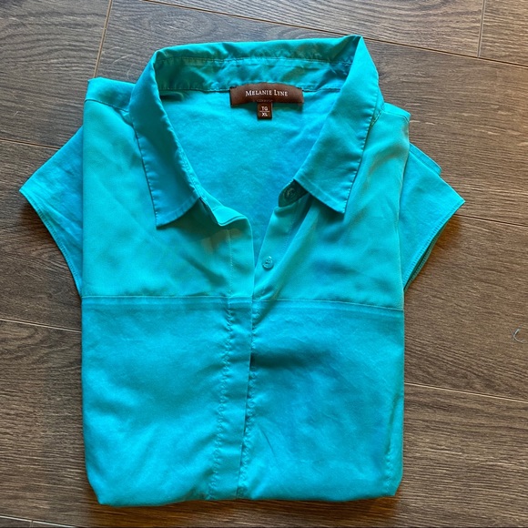 Melanie Lyne button down short sleeve blouse - Picture 5 of 8